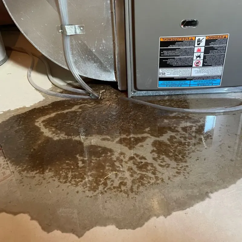 Pipe Burst and Leak Restoration in Del Rio, TX